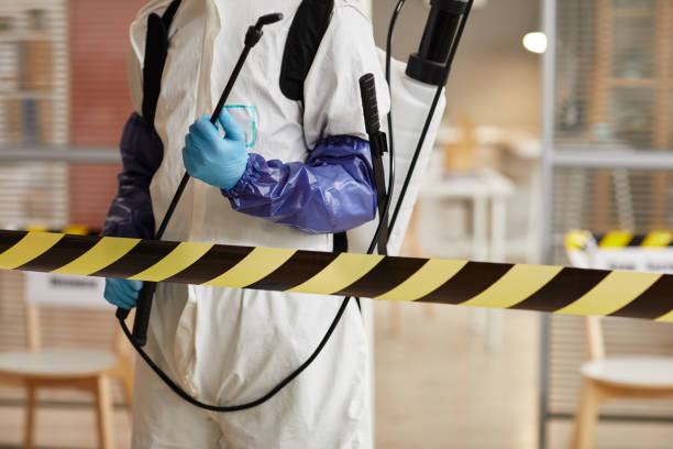 Professional Hoarding Cleanup technician working in Rainier, OR